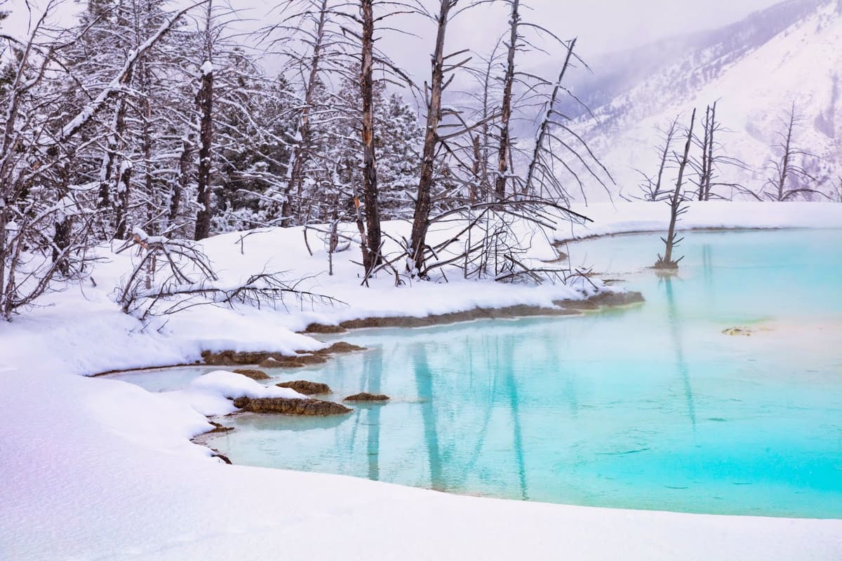 It's Yellowstone's Birthday!
